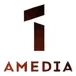 Amedia 1