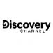 Discovery